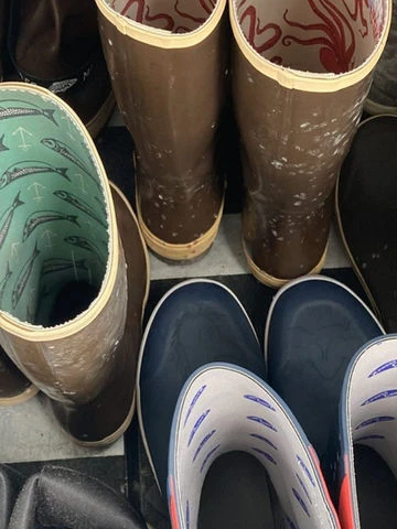 9f83b0_d7d656bc98ab472e80ac54b689759675~mv2